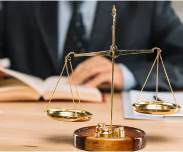 Licensed Legal Experts
